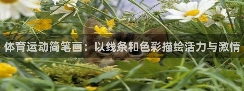 尊龙官网下载招商电话号码是多少号:体育运动简笔画:以线条和色