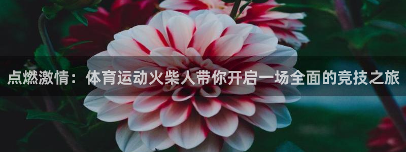 尊龙官网下载平台是正规平台吗安全吗:点燃激情:体育运动火柴人